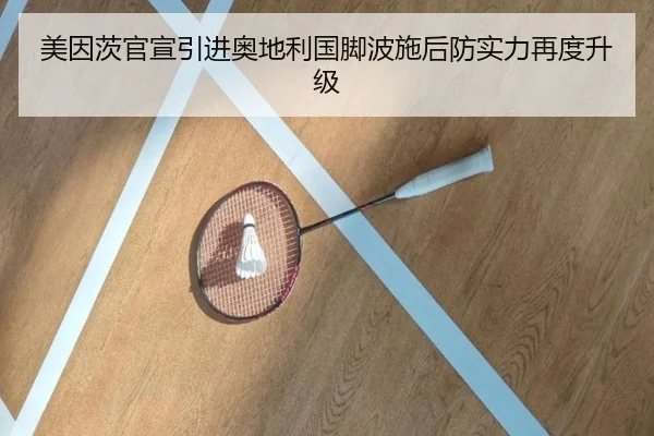 美因茨官宣引进奥地利国脚波施后防实力再度升级 - KaiyuanGames